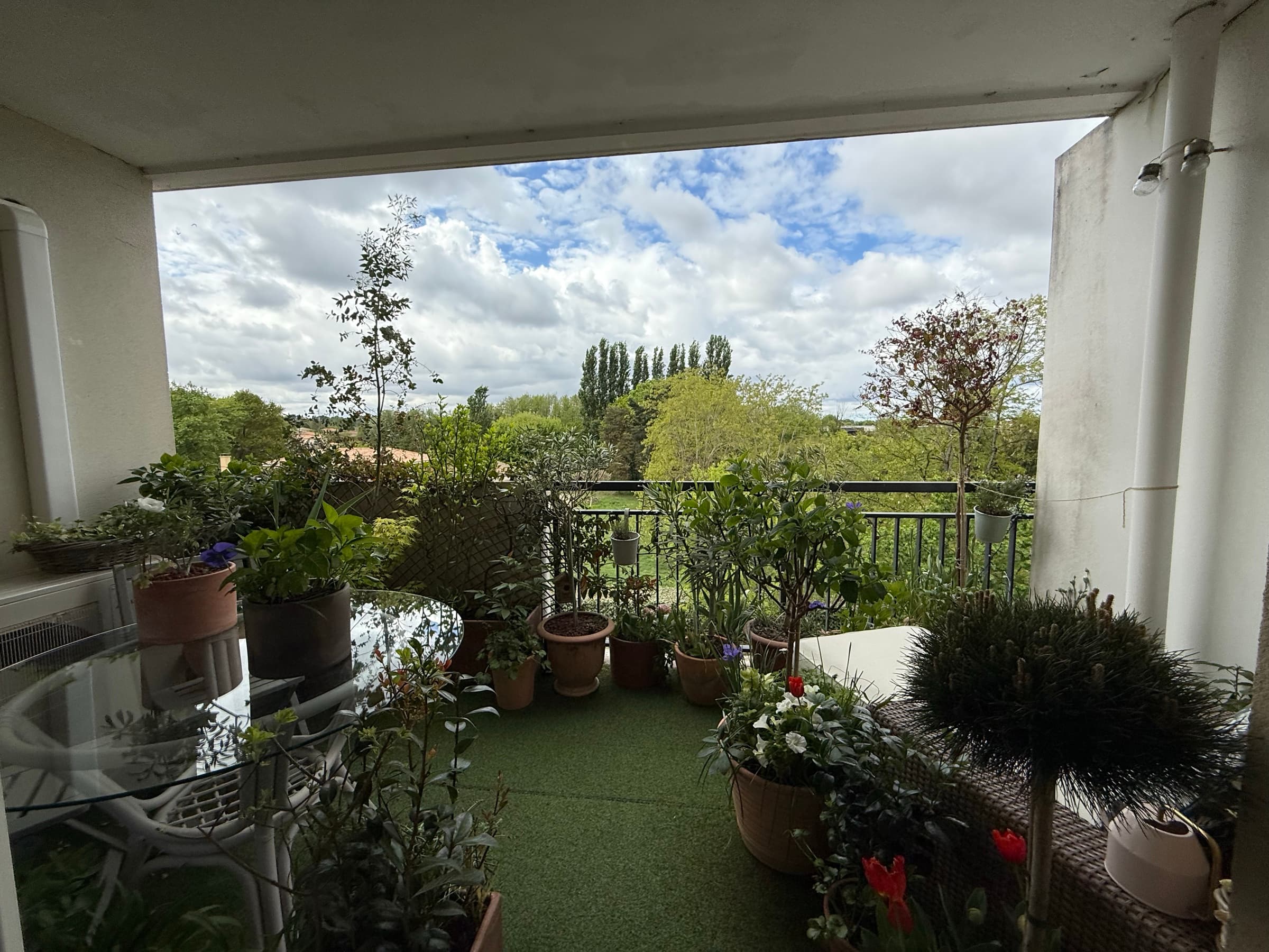 Balcon planté avec vue dégagée