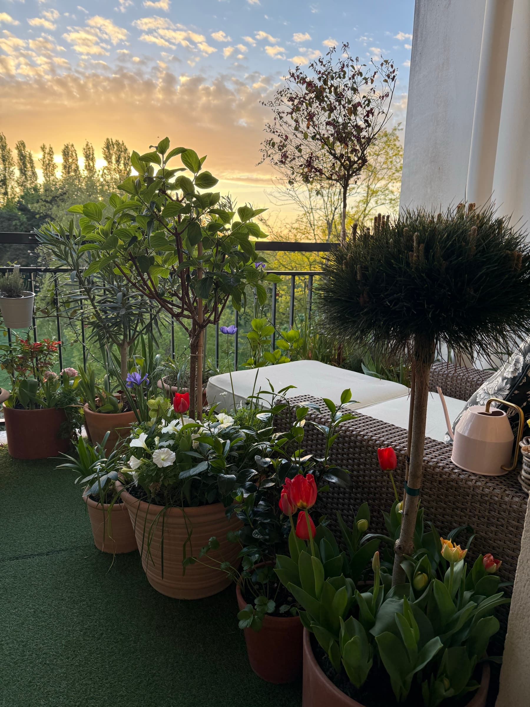 Balcon fleuri en soirée