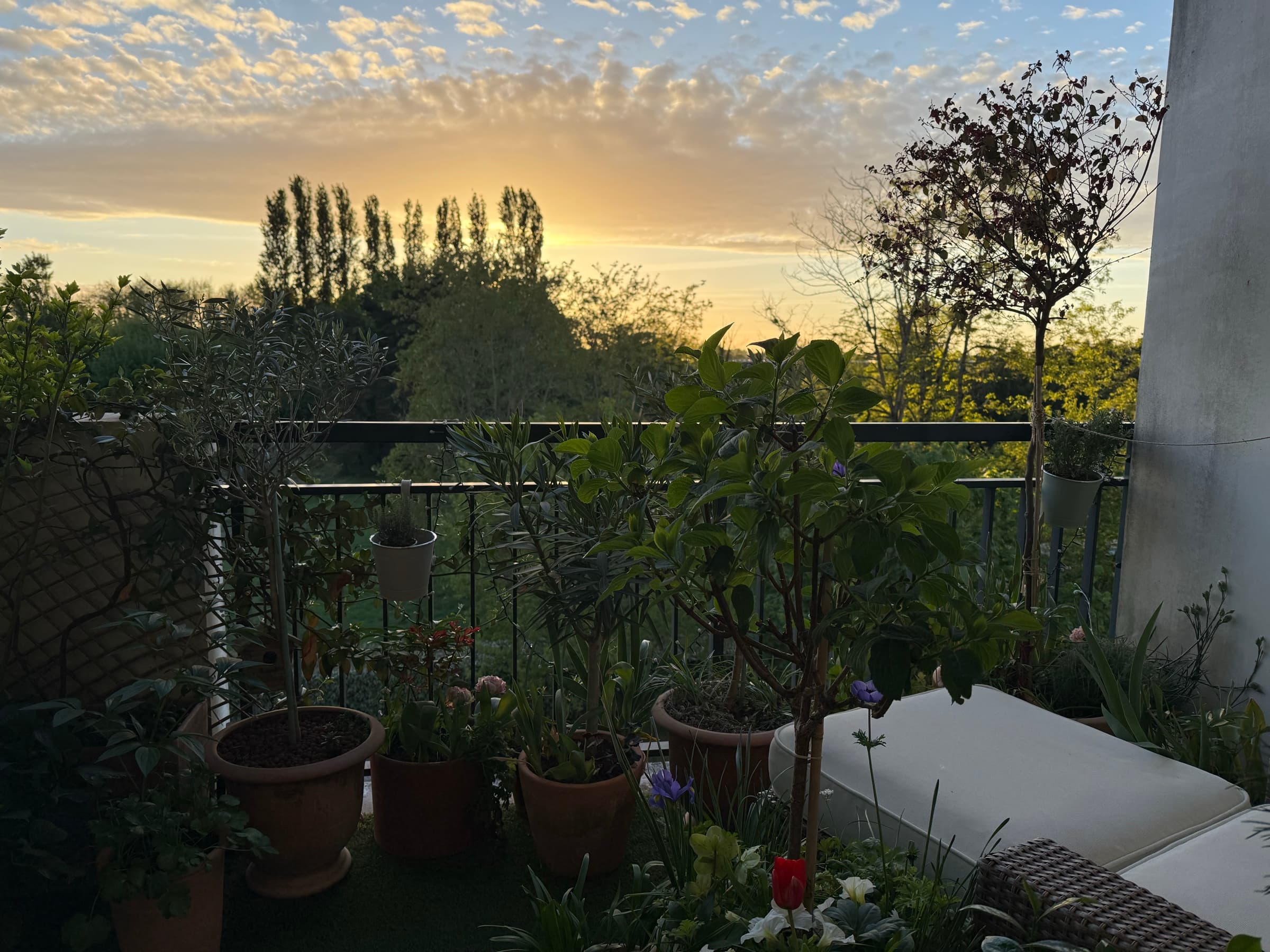 Balcon au coucher de soleil