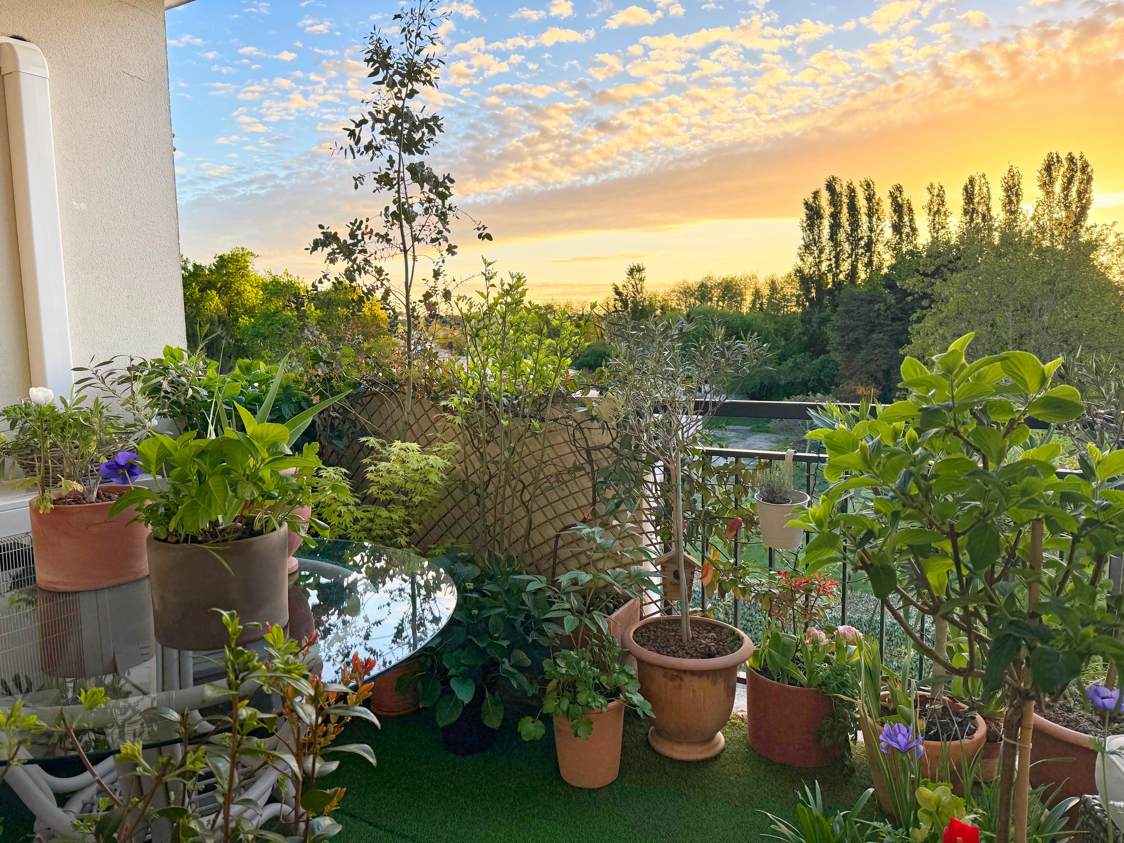 Coucher de soleil depuis le balcon